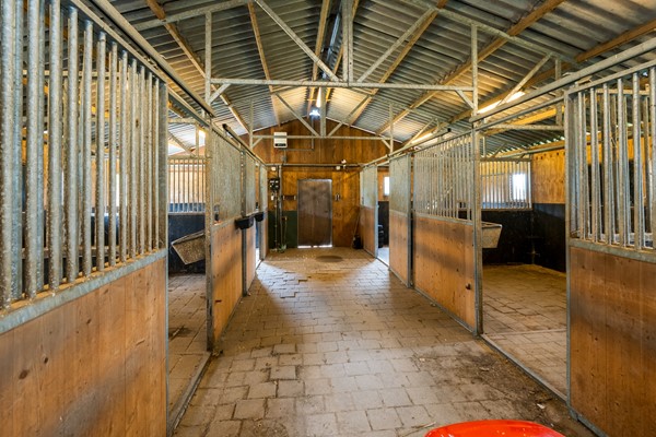 Medium property photo - Waalbandijk 110, 4063 CD Heesselt